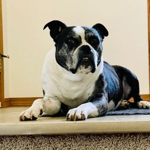 Meet your Posher, Ally